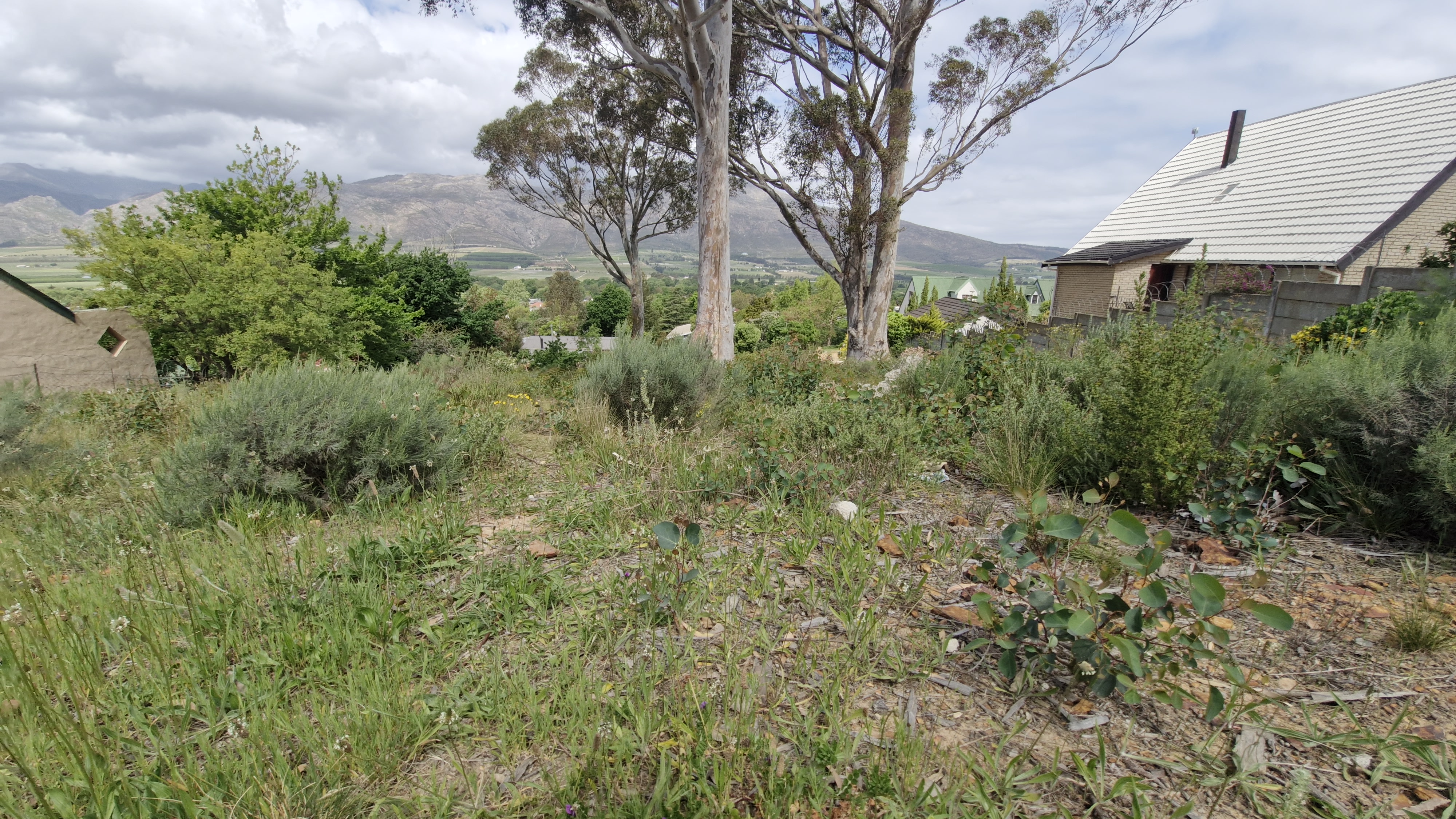 0 Bedroom Property for Sale in Villiersdorp Western Cape